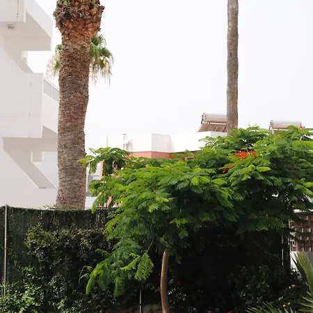 Atlantic Sun - Gay Men Only 3*