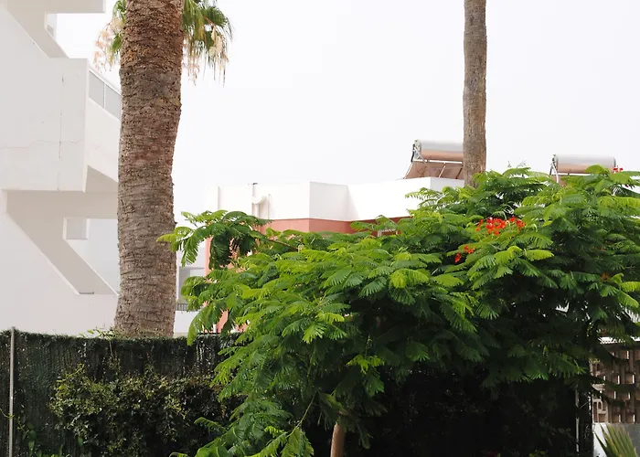 Atlantic Sun - Gay Men Only 3*